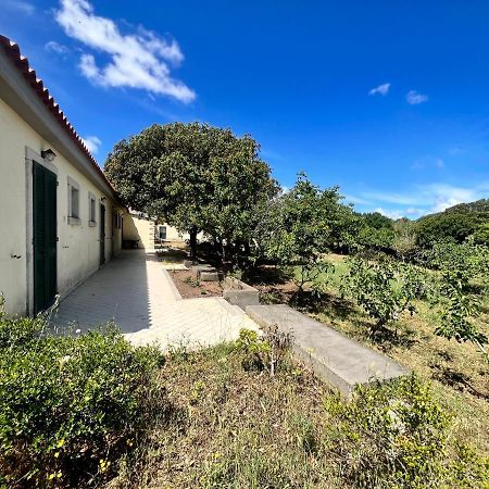 Bed and Breakfast La Striscia Larga San Pasquale Esterno foto