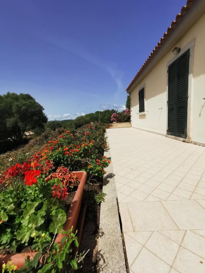 Bed and Breakfast La Striscia Larga San Pasquale Esterno foto